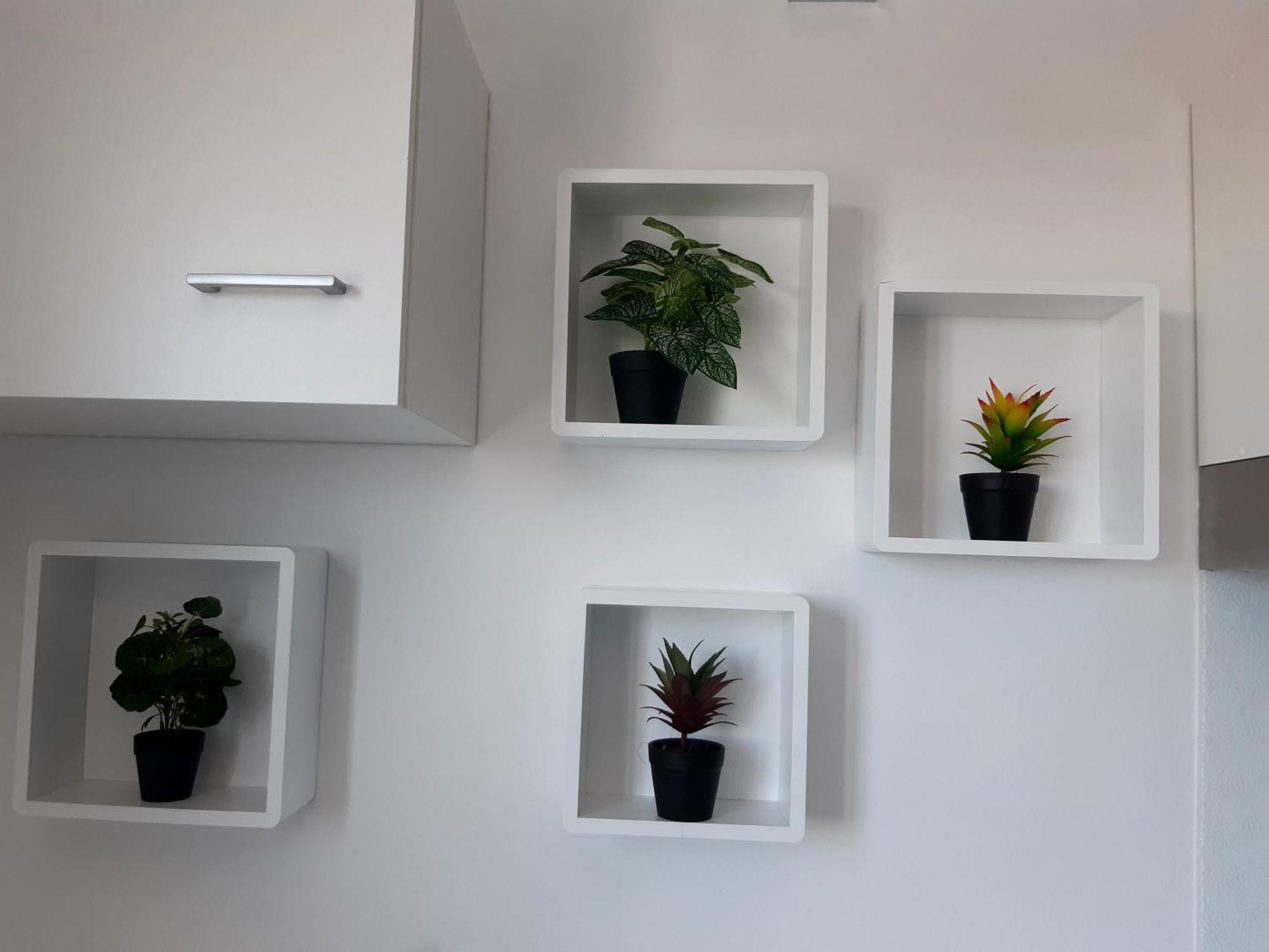 Joli Appartement, Piscine, Jacuzzi Sainte-Suzanne Buitenkant foto