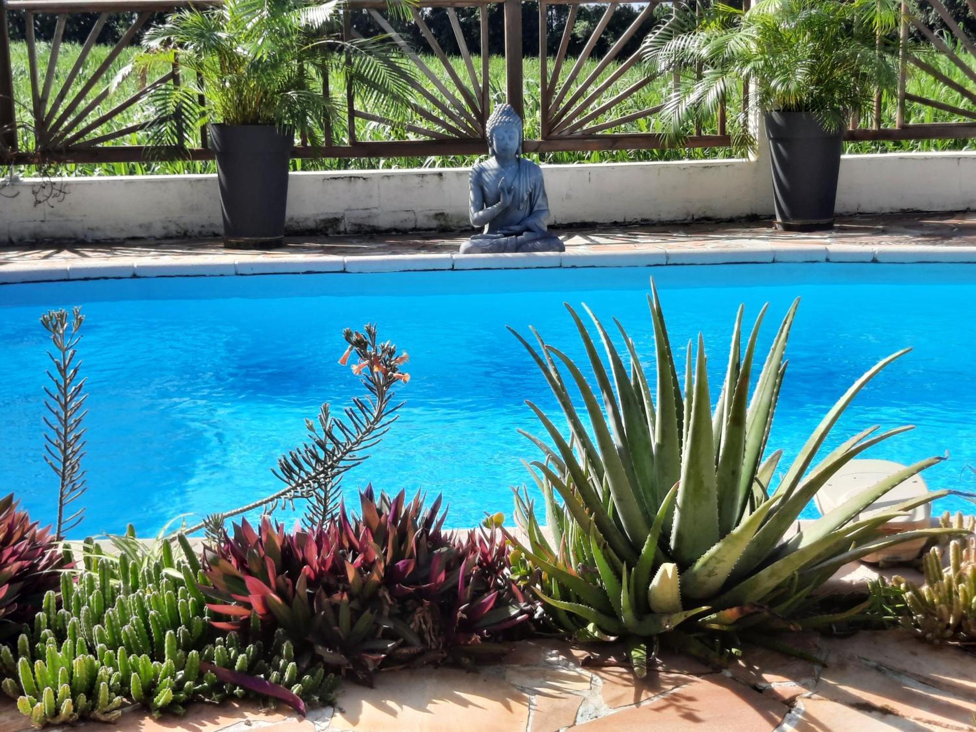 Joli Appartement, Piscine, Jacuzzi Sainte-Suzanne Buitenkant foto